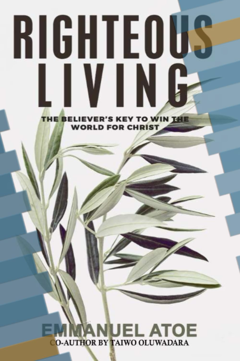 61ReFG5ZD4L._SL1500_ RIGHTEOUS LIVING: The Believer’s Keys To Win The World for Christ
